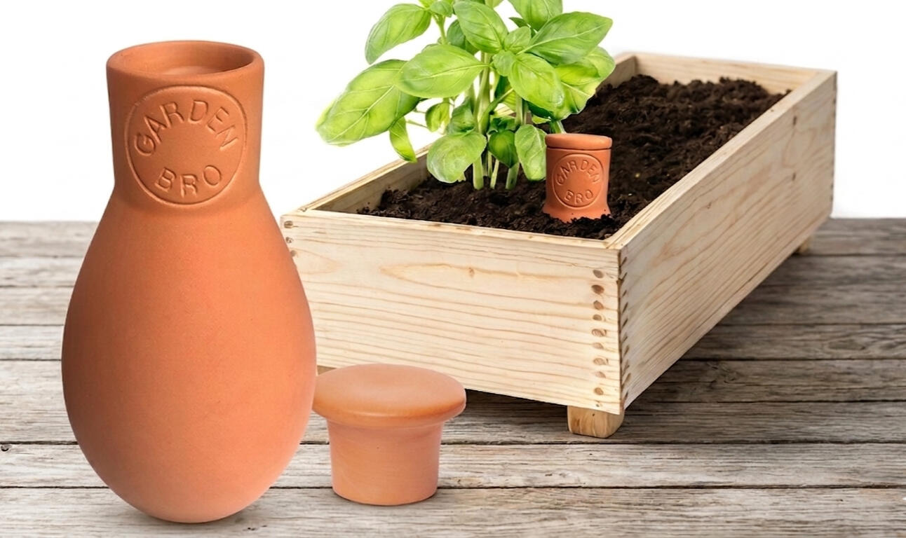 Terracotta olla watering pot next to a basil plant and soil-filled planter box